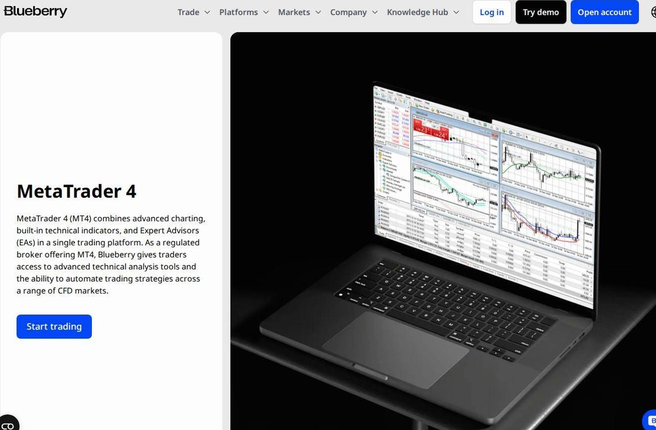 The platform page on the Blueberry Markets website